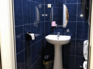 ჩიტო გვრიტო სურათი 6