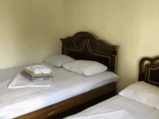 ჩიტო გვრიტო სურათი 7