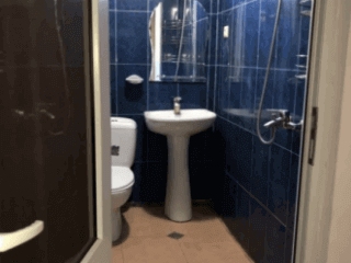 ჩიტო გვრიტო სურათი 8