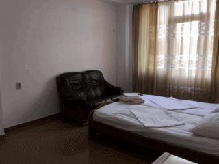 ჩიტო გვრიტო სურათი 9