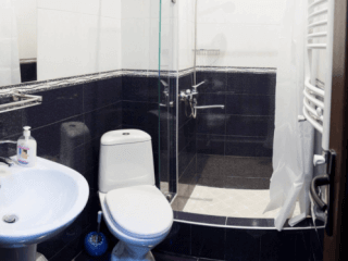 პუშკინის ათი სურათი 10