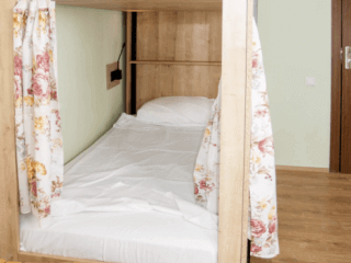 პუშკინის ათი სურათი 4