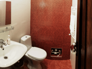 პუშკინის ათი სურათი 7