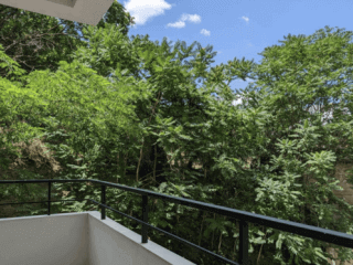 ქირავდება ბინა ვაკეში სურათი 12