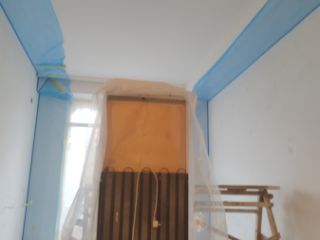 დაშპაკვლა, აპარატით გაშკურკვა და შეღებვა სურათი 29