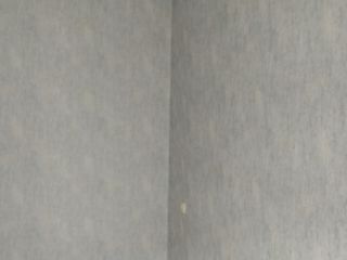 სამღებრო - სამალიარო საქმე სურათი 6