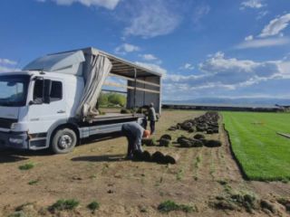 ტვირთის გადაზიდვა სურათი 1