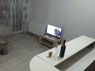 დღიურად ახალი აშენებული ბინა მუხიანში სურათი 2