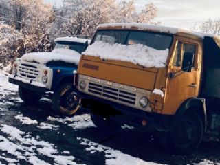 თვითმცლელები სურათი 7