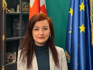ქართული ენისა და ლიტერატურის რეპეტიტორი სურათი 1