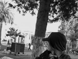 გავასეირნებ თქვენ ოთხფეხა მეგობრებს სურათი 1