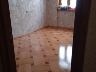 მალიარი სურათი 2