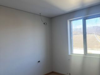 მალიარკა სურათი 3