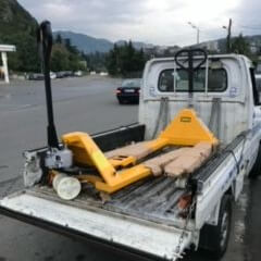 პადონის ურიკა, როხლი სურათი 2