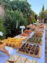 Guda's Catering • G - ქეითერინგი სურათი 3