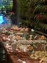Luncheon Catering • ლანჩეონ ქეითერინგი სურათი 3