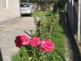 საოჯახო სასტუმრო "ჩემპიონი" სურათი 5