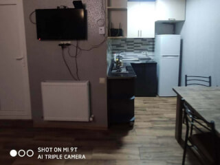 ქირავდება ბინები დღიურად სურათი 2