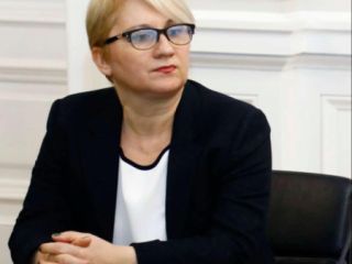 საბაჟო დეკლარირება, ბუღალტერია, ტენდერები სურათი 1