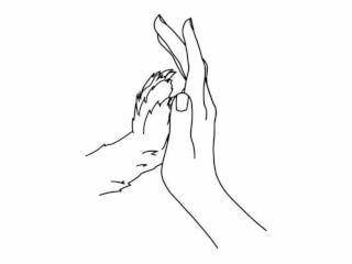 გავასეირნებ თქვენს ოთხფეხა მეგობარს. სურათი 1