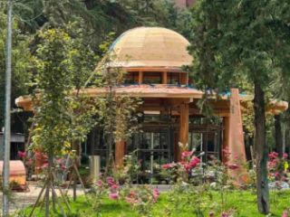 სახურავის ხელოსანი სურათი 12