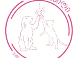 ვეტერინარის გამოძახებას ბინაზე სურათი 1