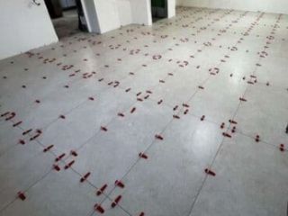 კაფელ-მეტლახის ხელოსანი სურათი 2