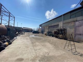 ქირავდება უნივერსალური საწარმო/სასაწყობე ფართი სურათი 5