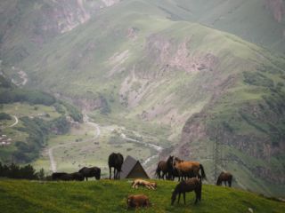 ინდივიდუალური ტურები საქართველოს მაშტაბით სურათი 13